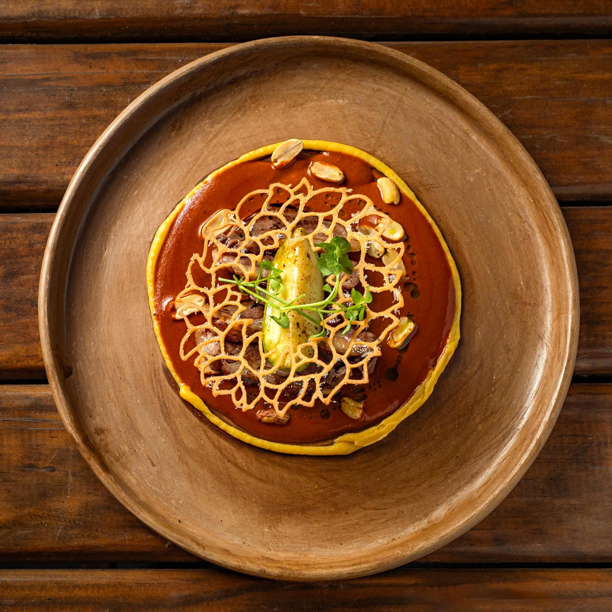 Beautifully plated Mexican dish with mole sauce and garnish in Tizayuca, México.